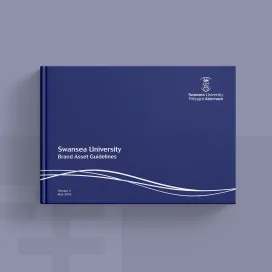 Swansea University